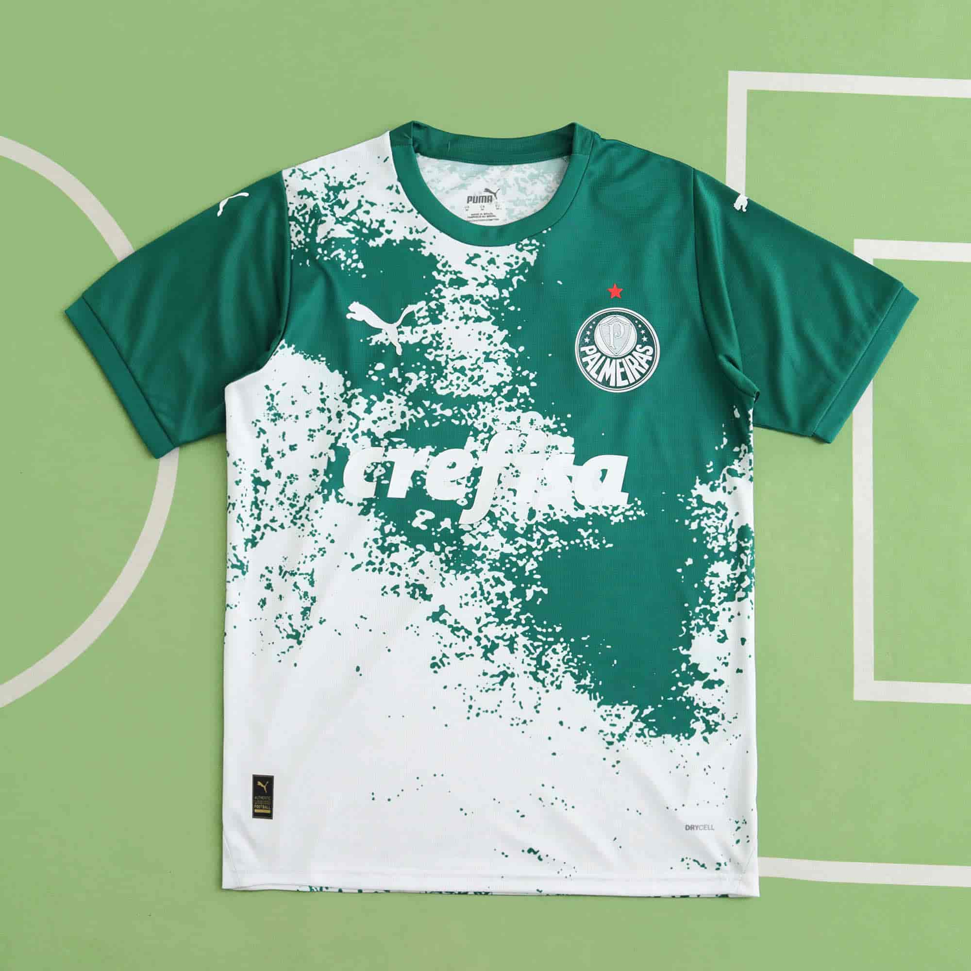 Palmeiras 24-25 Concept