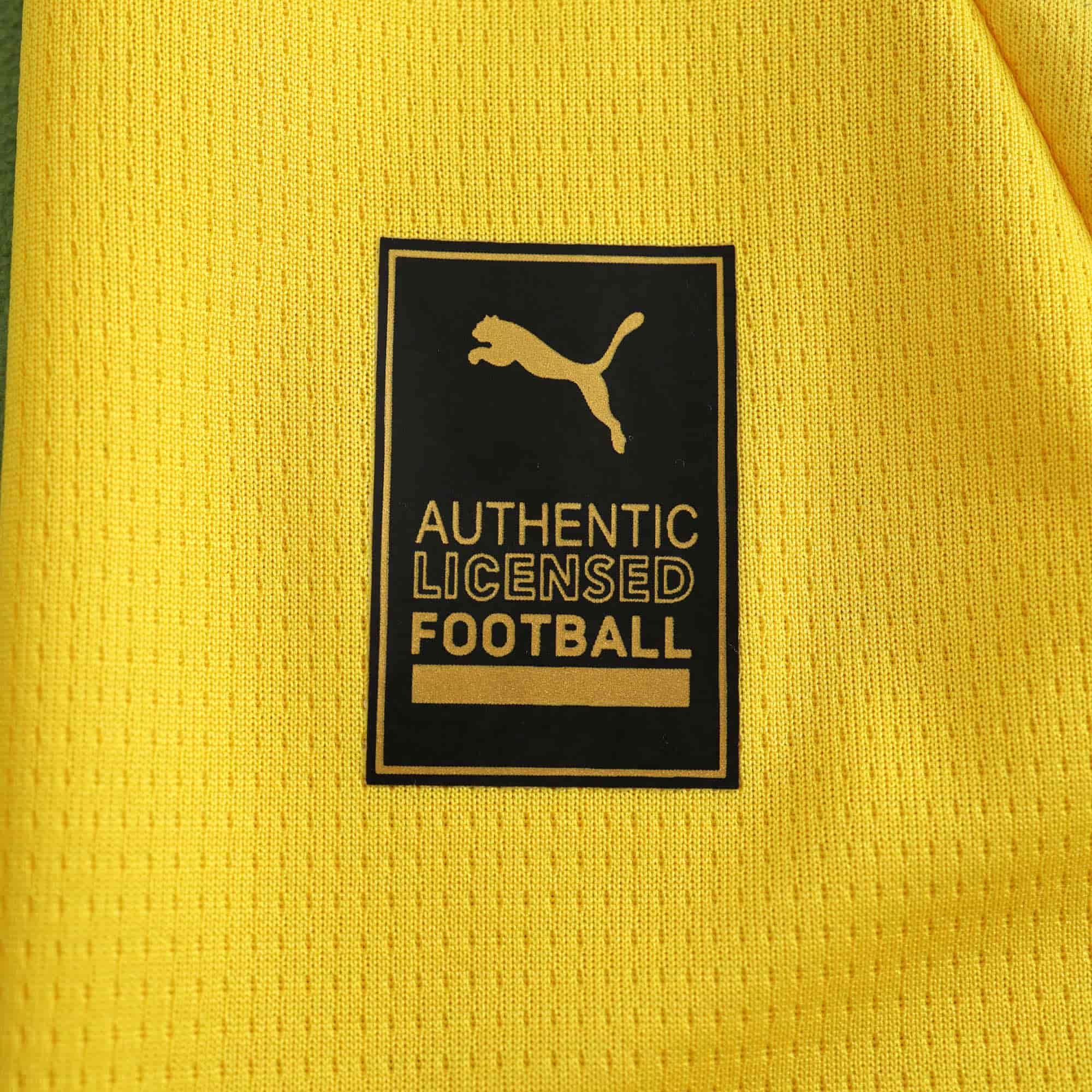 Borussia Dortmund 24-25 Home