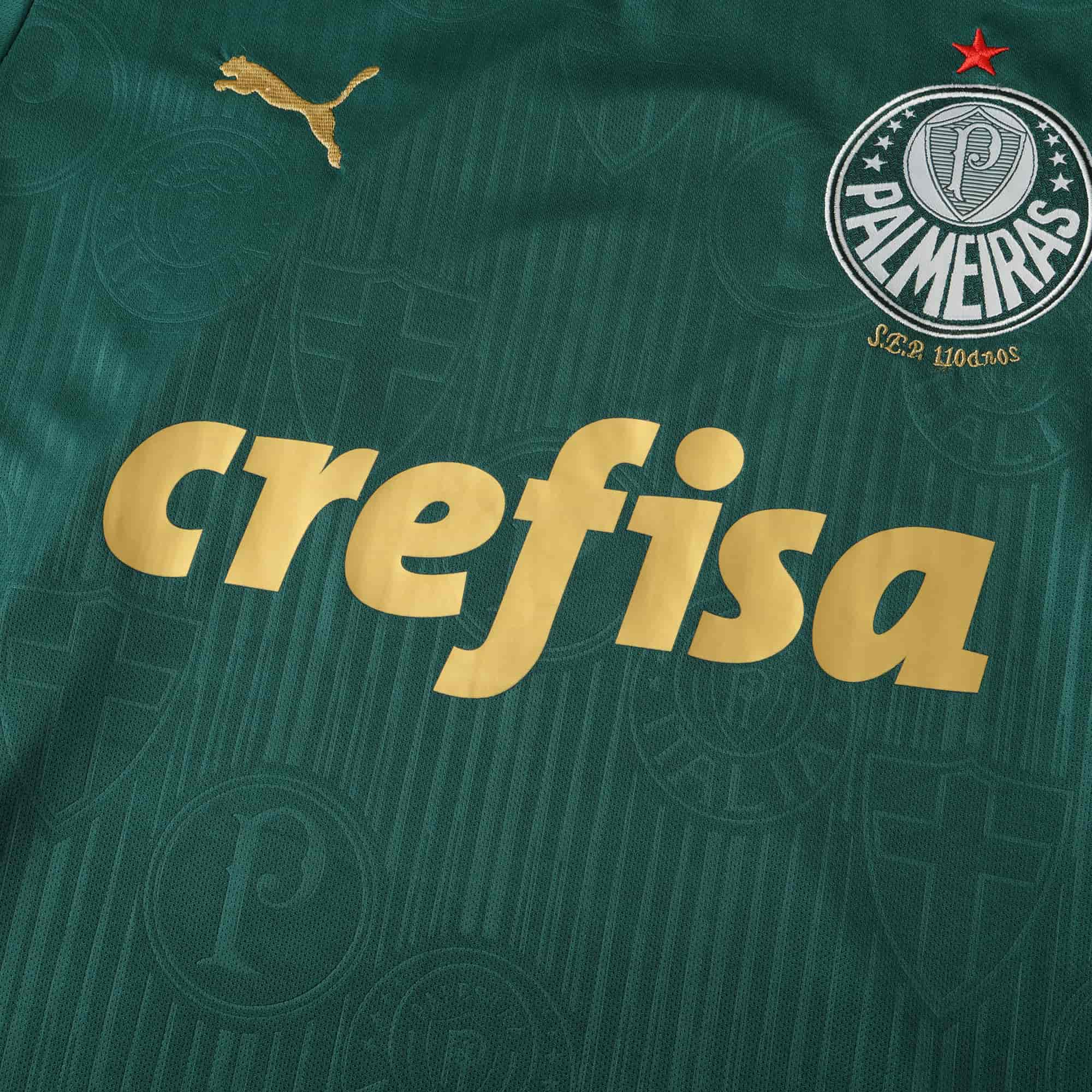 Palmeiras 24-25 Home