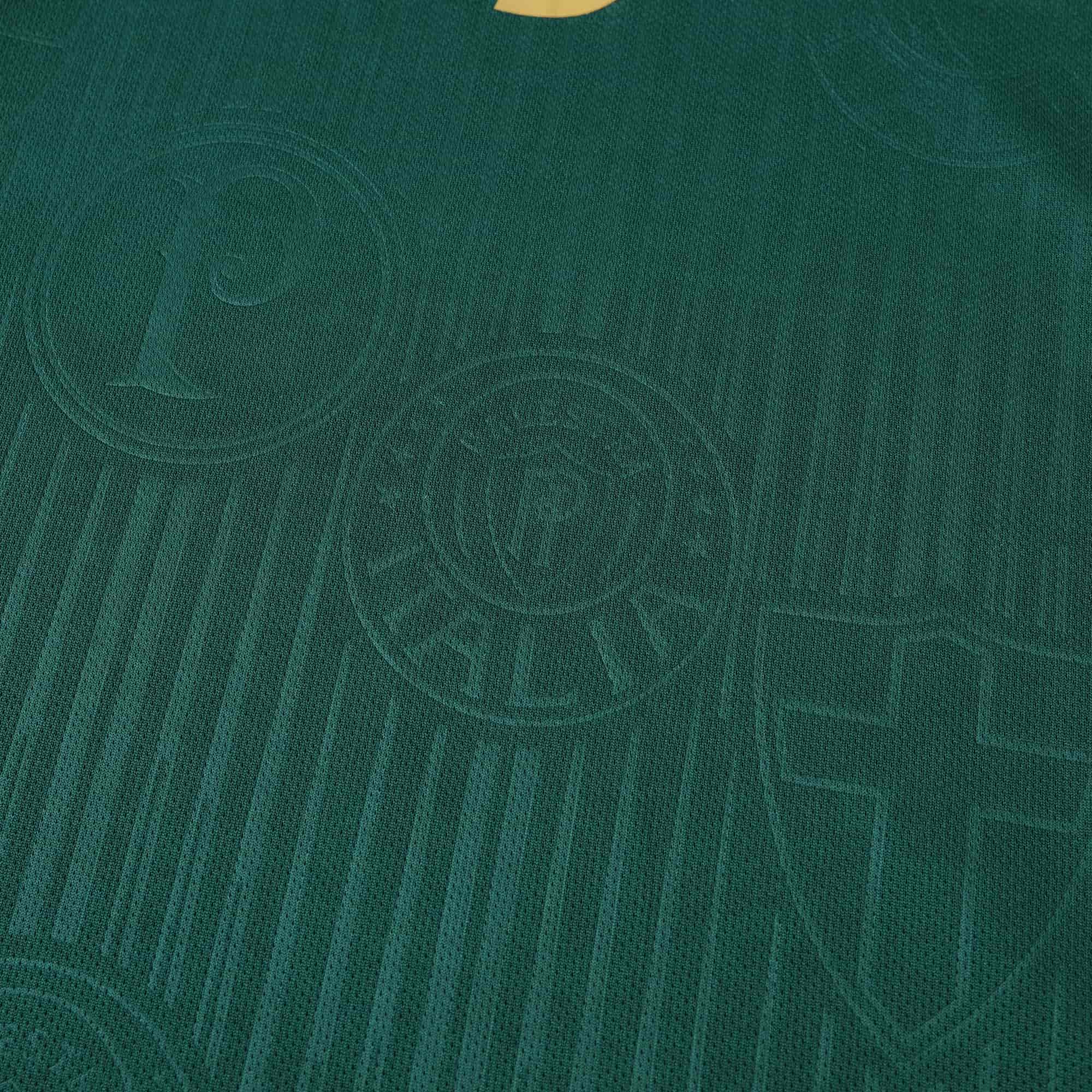 Palmeiras 24-25 Home