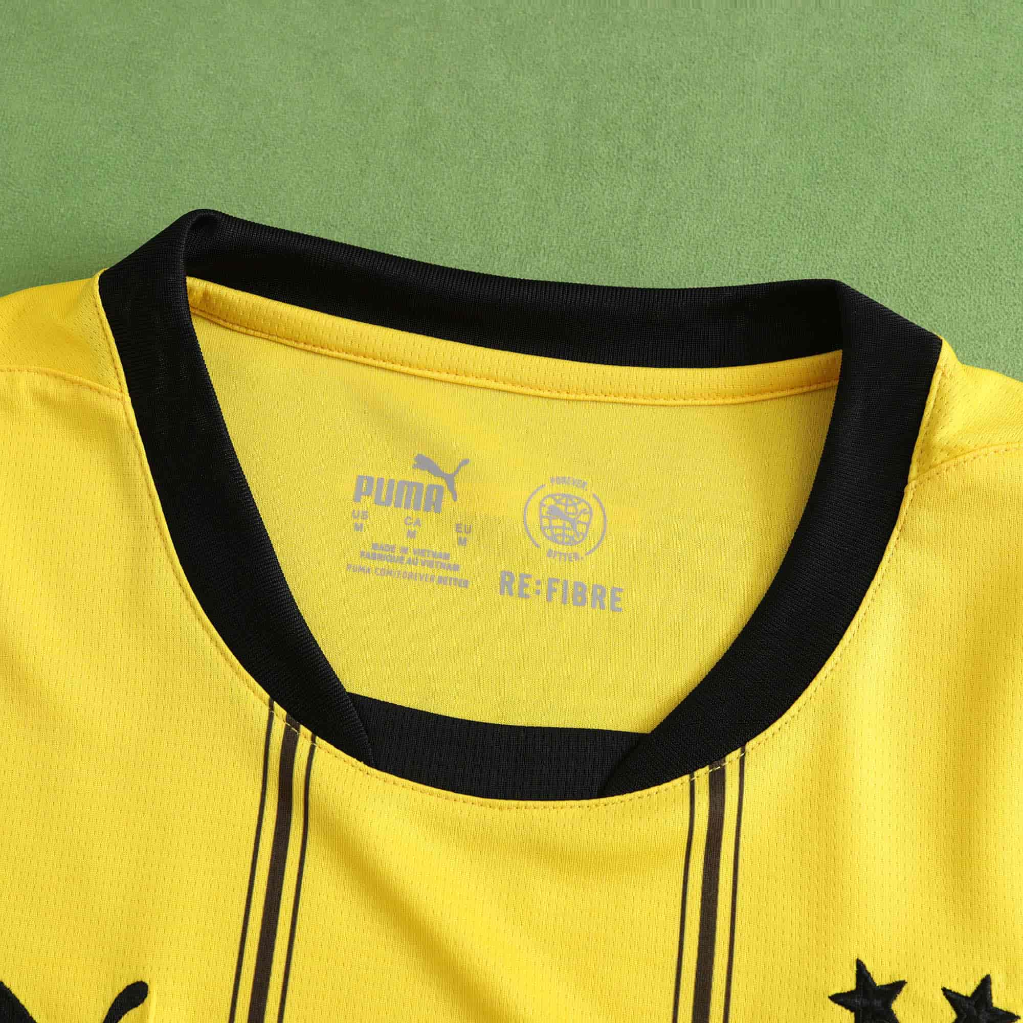 Borussia Dortmund 24-25 Home