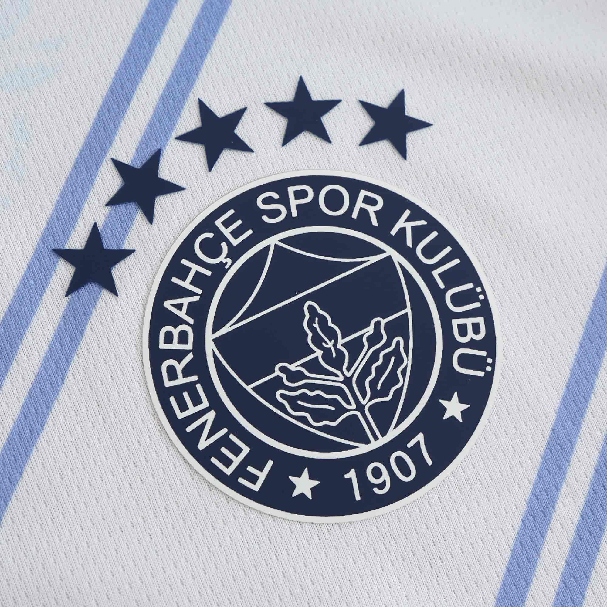 Fenerbahce 24-25 Away