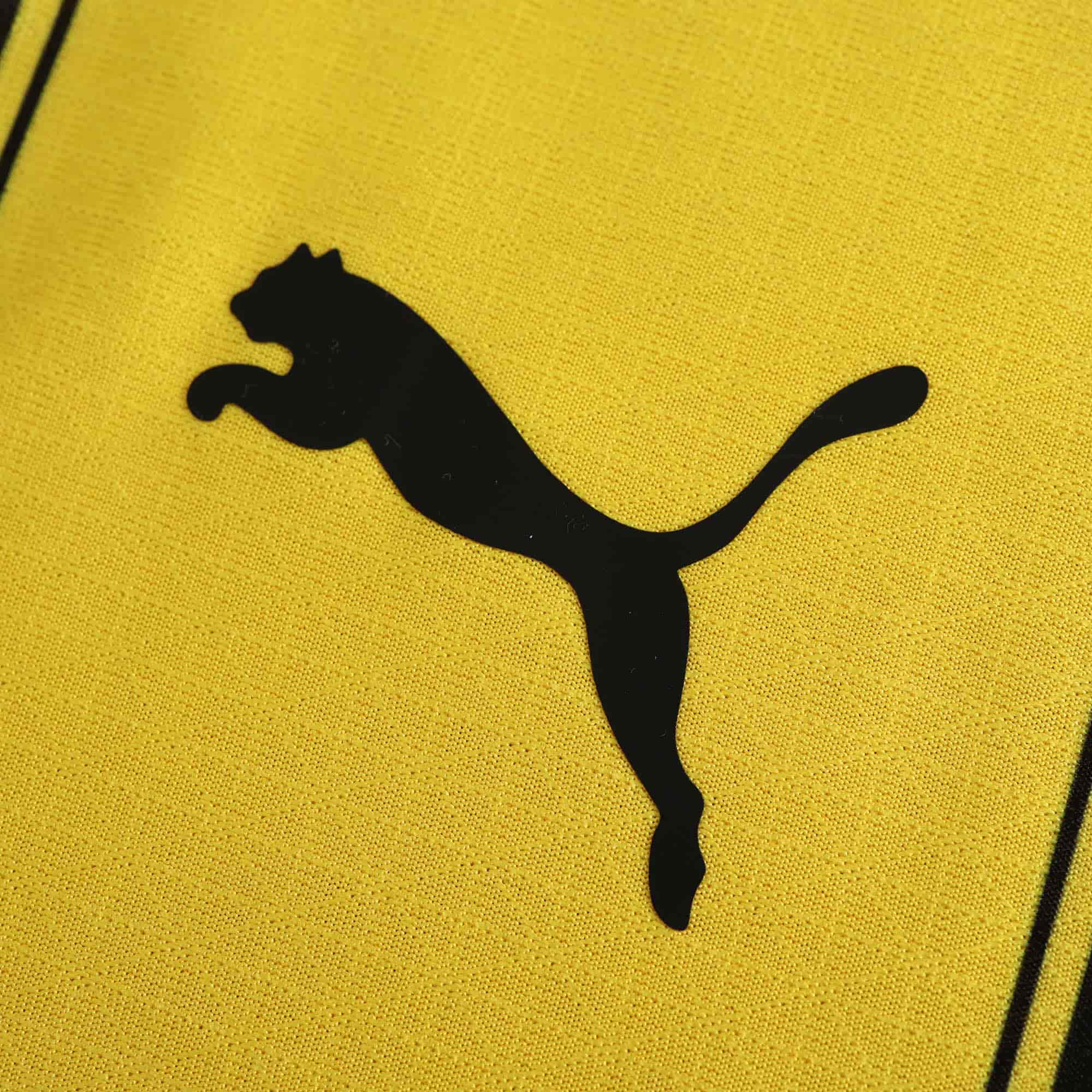 Borussia Dortmund 24-25 Home