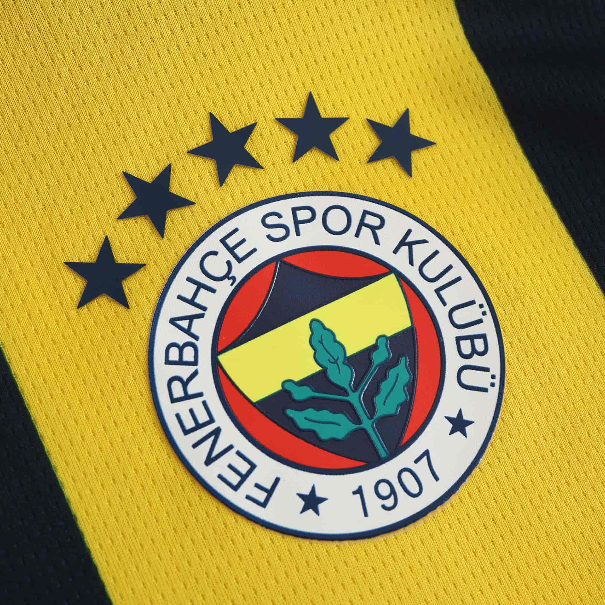 Fenerbahce 24-25 Home