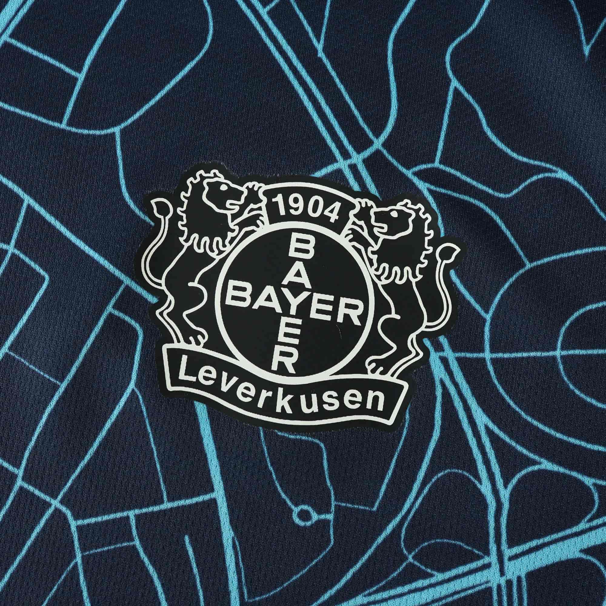 Bayer Leverkusen 24-25 Concept