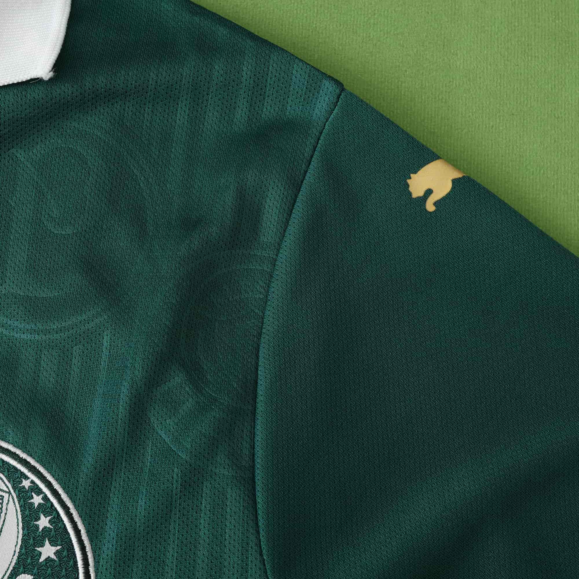 Palmeiras 24-25 Home